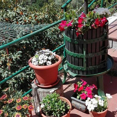 레반토 Casa Ofelia 빌라 외부 사진