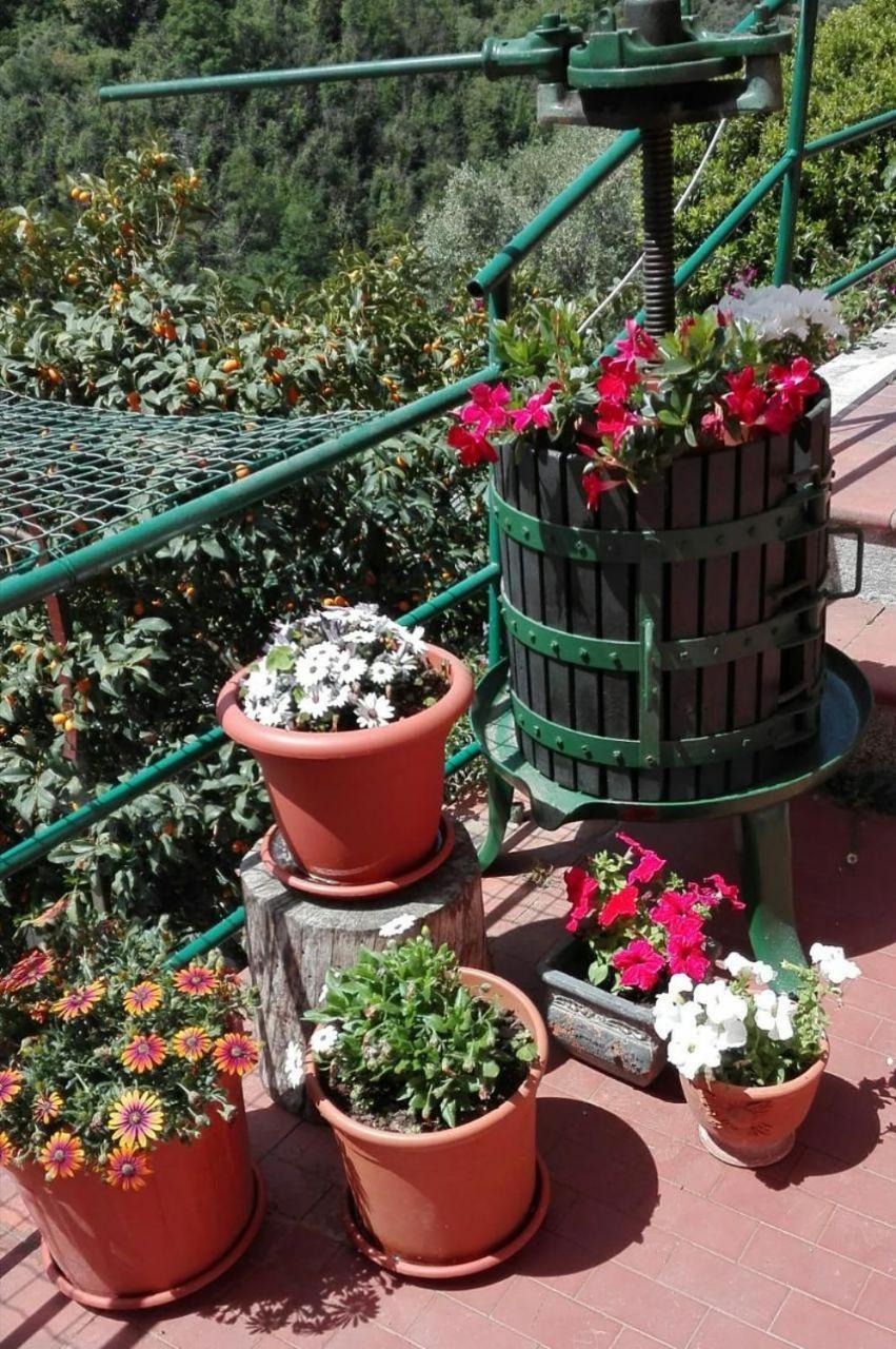 레반토 Casa Ofelia 빌라 외부 사진