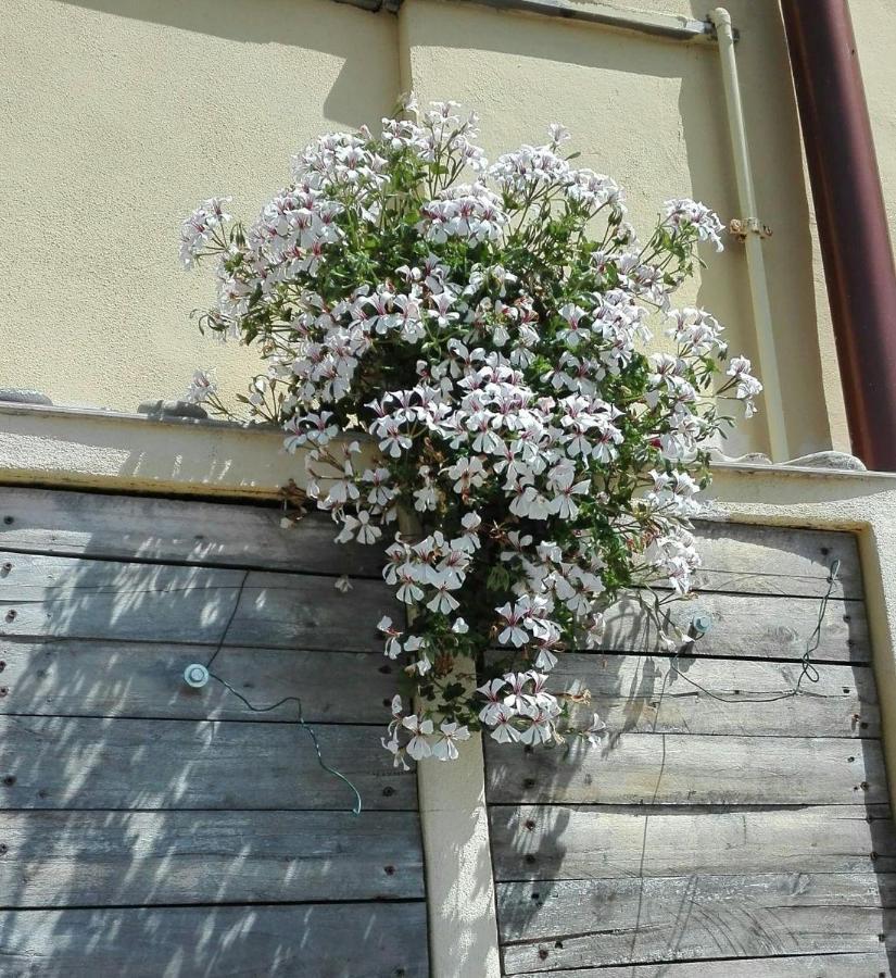 레반토 Casa Ofelia 빌라 외부 사진
